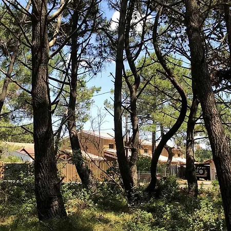 Chalet Bois Baobab 5 Min A Pieds De L'ocean Montalivet-les-Bains