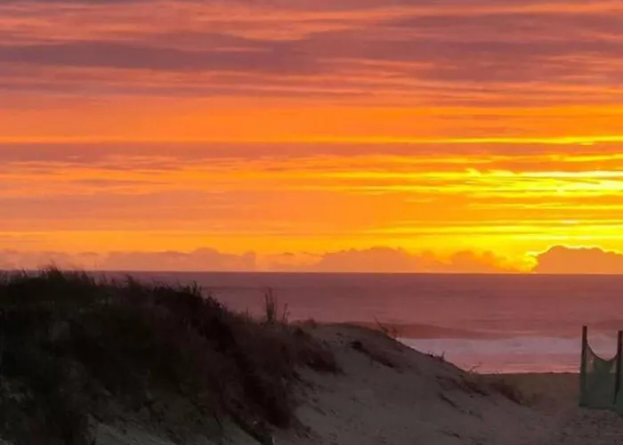 Bois Baobab 5 Min A Pieds De L'ocean * Vendays-Montalivet